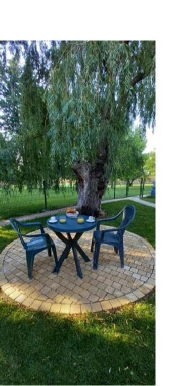 Logement Lumineux, Entierement Renove Avec Jardin Caumont-sur-Durance Bagian luar foto